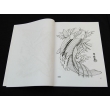 KOI Carp Fish Japan Horimouja Jack Mosher Japanese style tattoo Flash Book